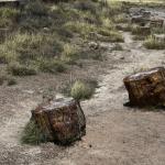 2023OTRA_729 (May 07, 2023)